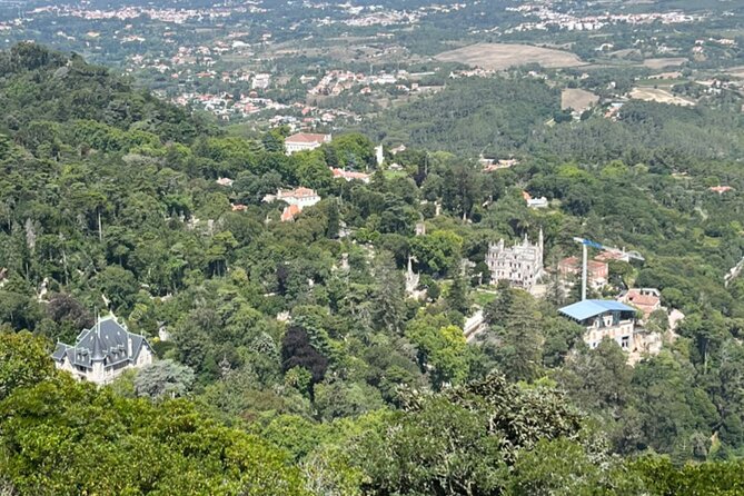 Private Half-Day Tour to Sintra - Reviews and Ratings