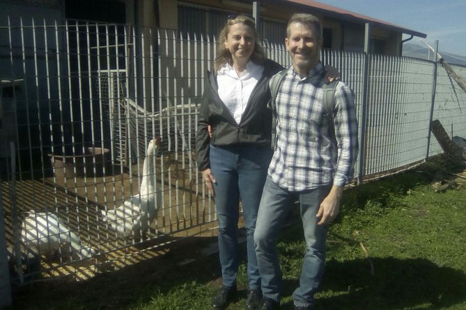 Private Horseback Riding Tour in Sicilian Countryside + Tradional Lunch - Guest Feedback and Reviews