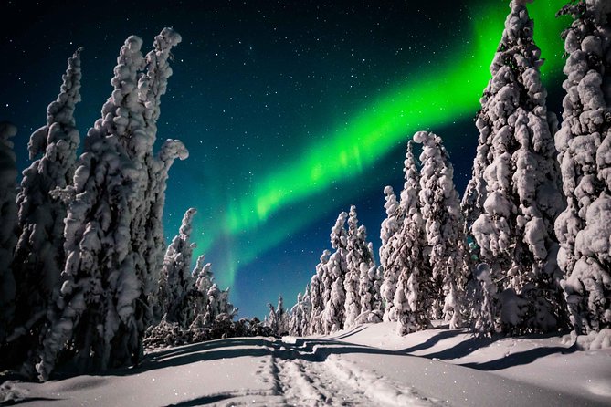 Private Northern Lights Photography Tour in Rovaniemi - Booking and Pricing Information