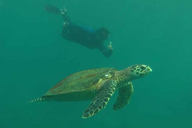 Private Phi Phi & 4 Islands Sunset Cruise by Speedboat - From Krabi - Cancellation Policy