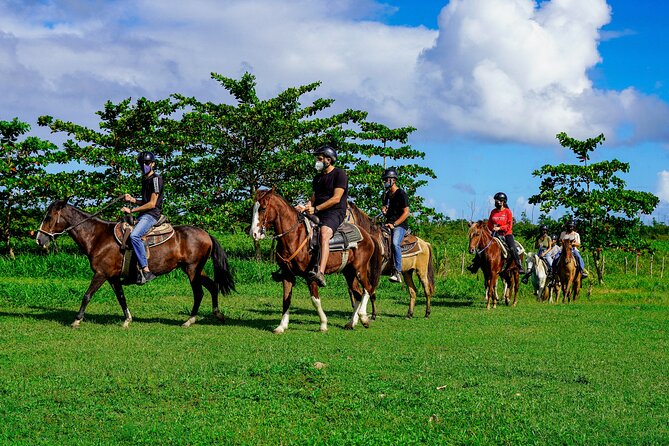 Private Ranch Horseback Tour in Carolina, Puerto Rico - Booking Information