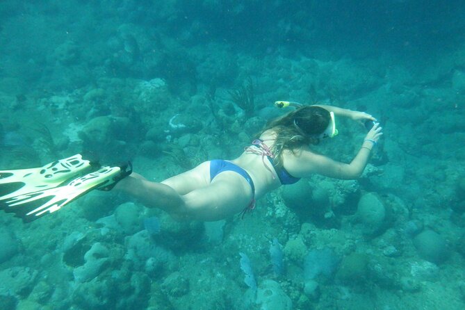 Private Rincon Snorkeling Adventure - What to Expect