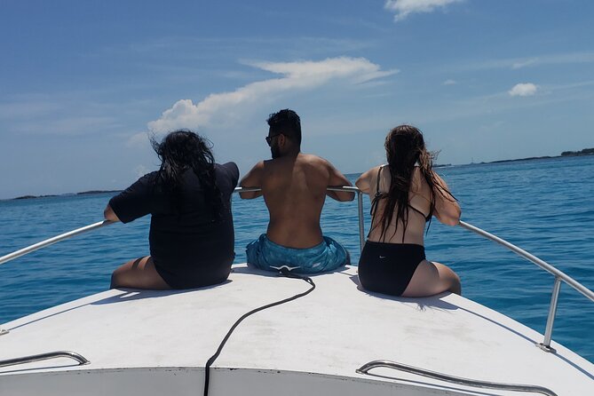Private Rose Island Tour Snorkeling Fishing Swimming With Pigs - Ideal for Families and Groups