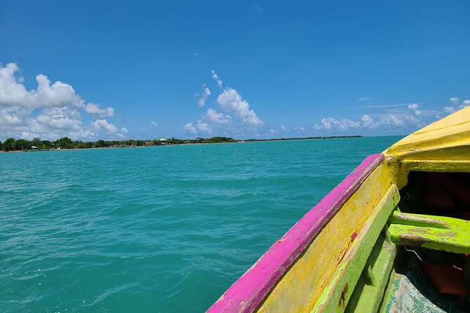 Private Seafood Tour and Floyds Pelican Bar or Black River Safari - Unique Experiences