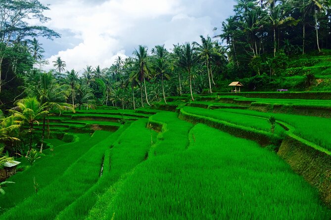 Private Shore Excursion: Highlights of Bali - Customization Options Available