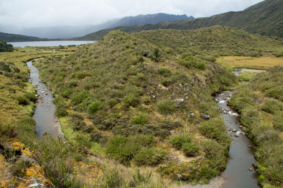 Private Sight Tour Chingaza Paramo From Bogota, Andean Bear - Alternative Tour Options