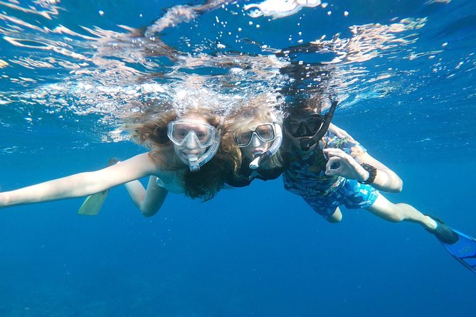 Private Snorkel With 2 Stops in Aruba - Eco-Friendly! - Personalised Experience