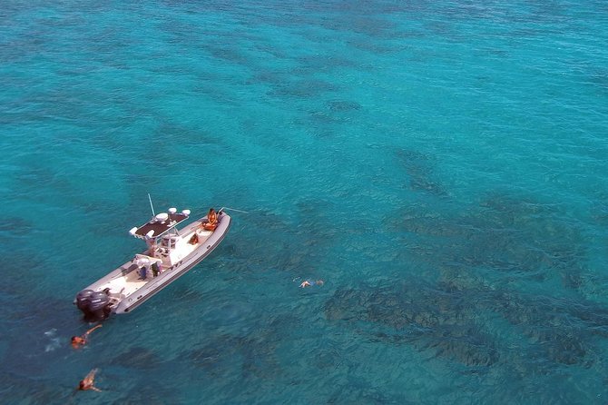 Private Snorkeling and Wildlife on The Adventure Boat - Customer Testimonials and Reviews