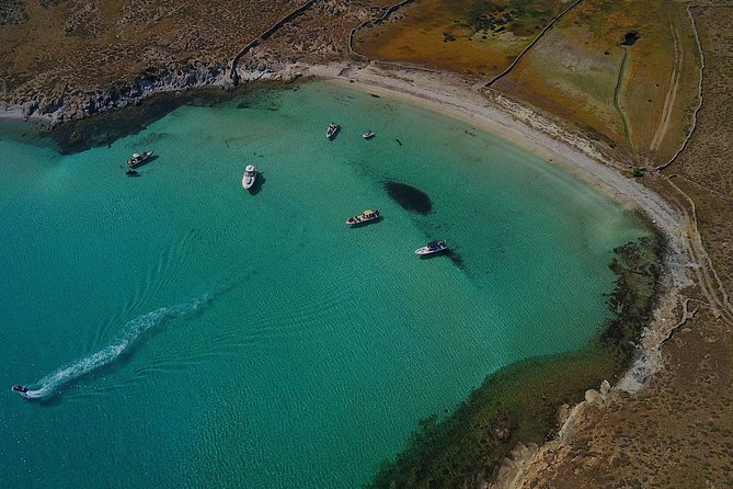 Private Speedboat Cruise From Delos to Rhenia and Mykonos - Customer Reviews and Ratings