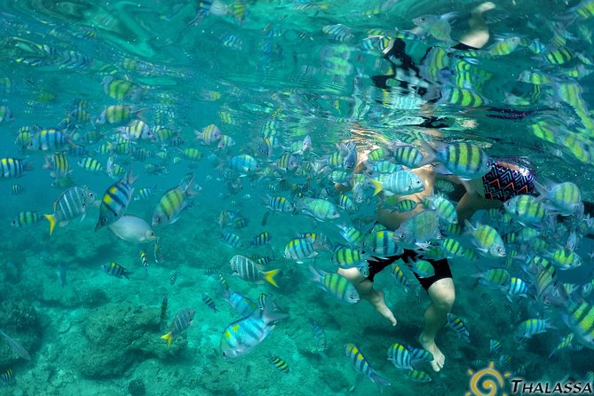 Private Sunset Tour&Night Snorkel by Hybrid Catamaran-Speedboat ! - Ideal Timing for Your Tour