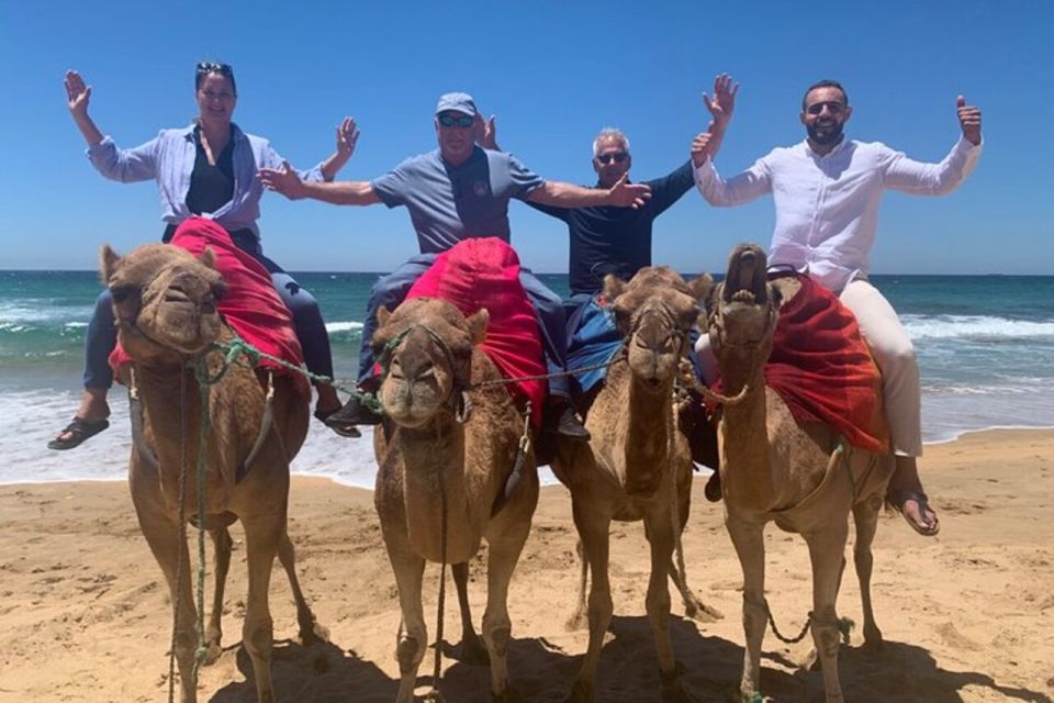 Private Tangier Tour From Estepona Including Camel & Lunch - Ferry Crossing