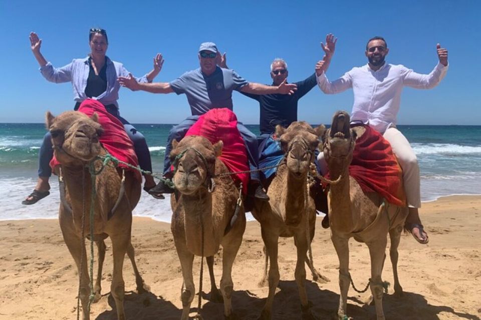 Private Tangier Tour From Seville Including Camel & Lunch - Pickup and Dropoff