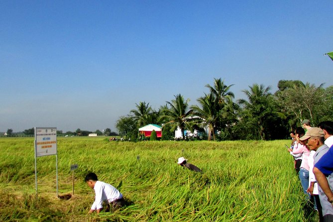 PRIVATE the Tunnels of Cu Chi Half Day Tour - What to Expect