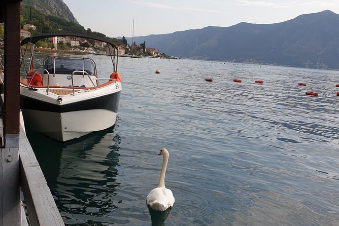 Private Tour: Custom Made (Charged per Hour) - Experience and What to Expect