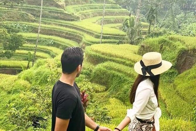 Private Tour, Discover the Beauty of Bali - How to Book Your Tour