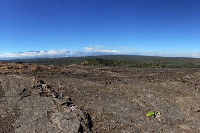 Private Tour: Hawaii Volcanoes National Park Eco Tour - Safety and Accessibility
