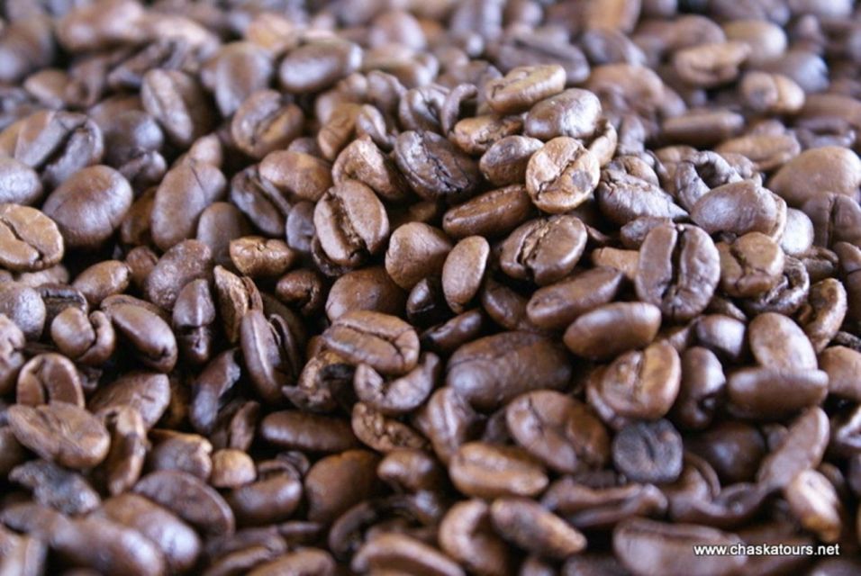 Private Tour in an Authentic, Ecological Local Coffee Finca - Meet the Coffee Farmers