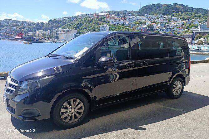 Private Tour in Wellington - Tips for a Great Experience