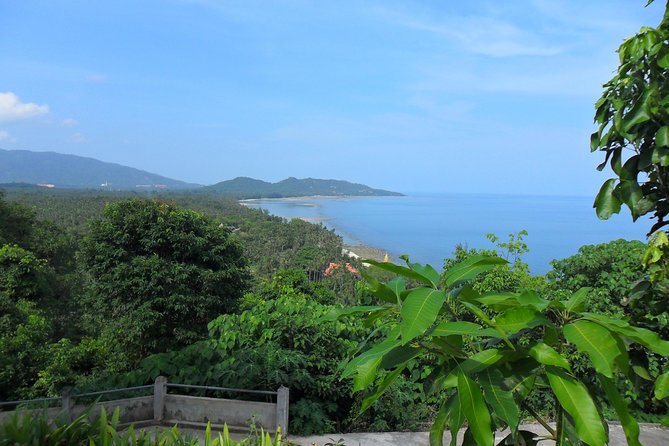 Private Tour Koh Samui - Traveler Testimonials and Reviews