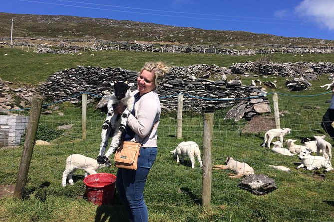 Private Tour of Dingle and Slea Head With Accredited Guide - Inclusions and Logistics