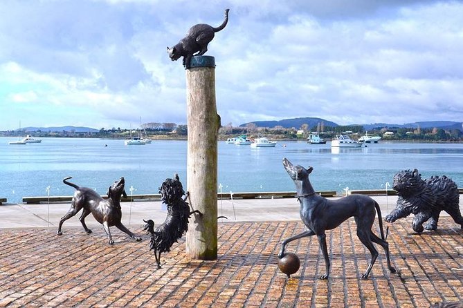 Private Tour Tauranga Highlights Shore Excursion up to 8 Passengers - Customer Reviews