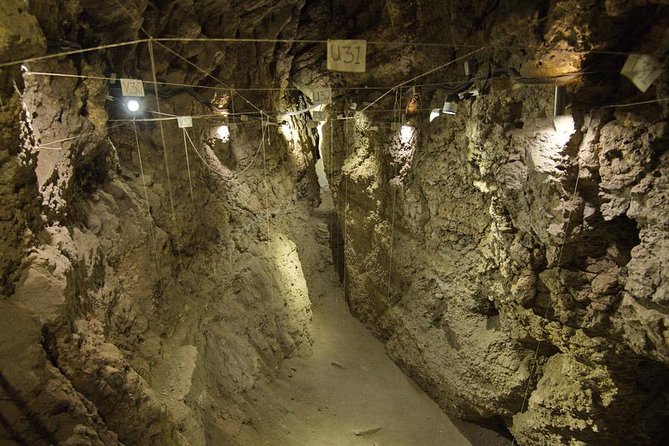 Private Tour to Khor Virap, Noravank, Ancient Birds-Cave, Hin Areni Wine Factory - Extra Stops and Bottled Water