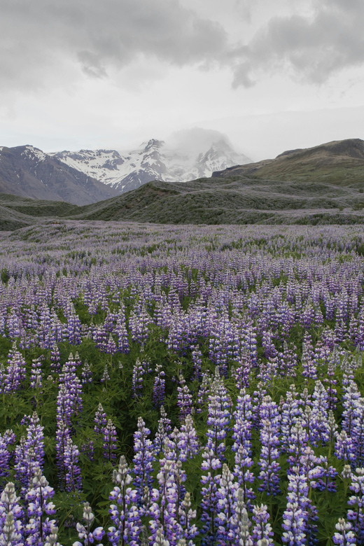 Private Tour to Landmannalaugar. Explore the Highlands - Customer Reviews and Feedback