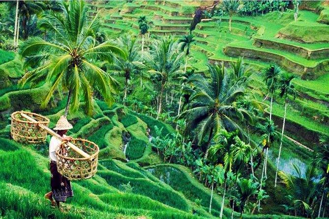 Private Tour Top Sights of Bali in One Day - Seafood Dinner