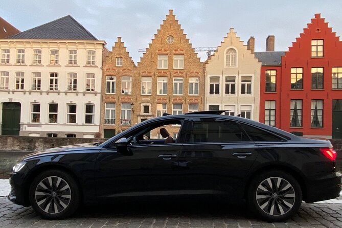 Private Transfer From/To Brussels Zaventem Airport - Accessibility Features