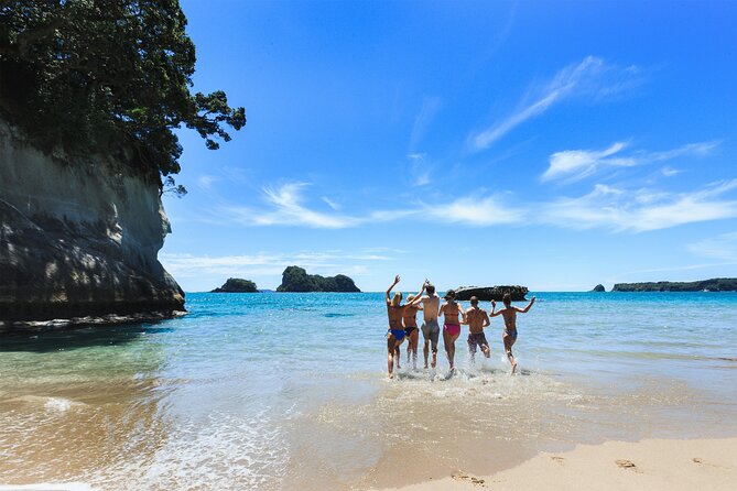 Private Trip to Coromandel - Pricing and Cancellation Policy