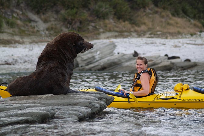 Private Wildlife Kayaking Tour - Kaikoura - Additional Tips