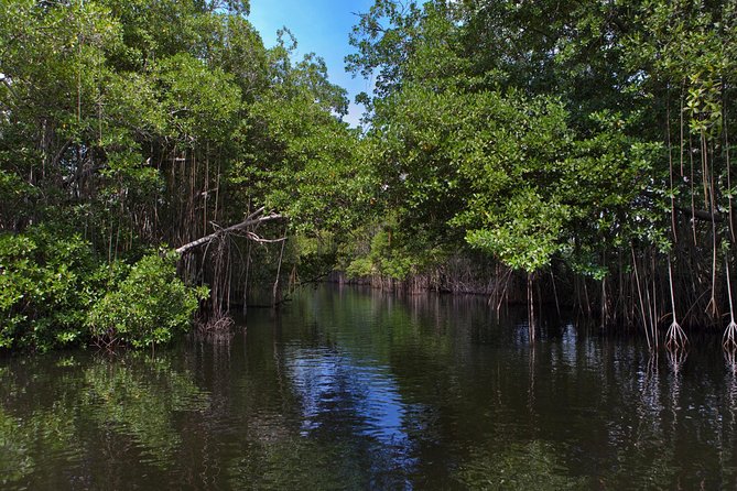 [PRIVATE] YS Falls, Black River, Pelican Bar - Entrance & Lunch - Important Booking Information