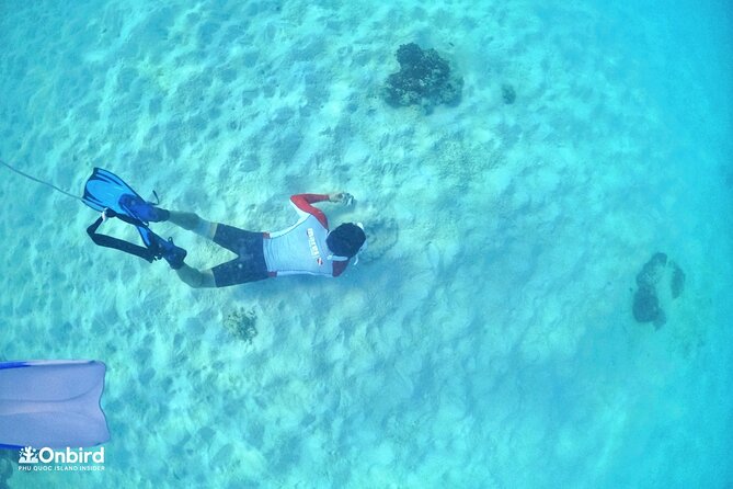 PROFESSIONAL SNORKELING to Explore Hidden Coral Spots (MAX 9 PAX) - Beverages and Fruits