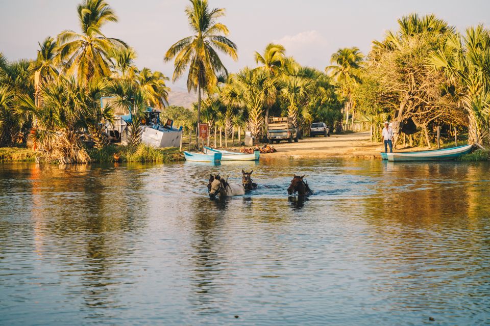 Puerto Escondido: Sunset Horse Ride - Relaxing Around the Bonfire