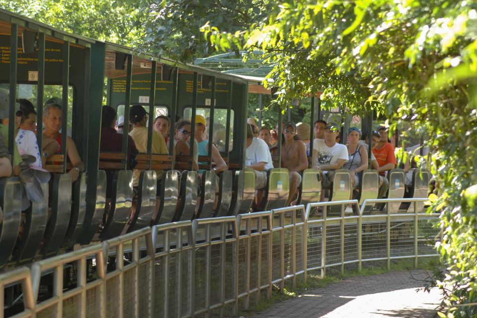 Puerto Iguazú Combo: Iguazu Falls 2 Day Tours + Transfers - Booking and Cancellation Policies