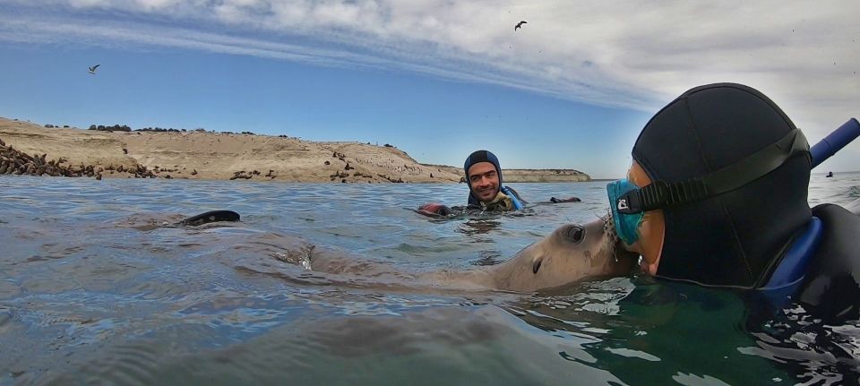 Puerto Madryn: 3-Hour Snorkeling Trip With Sea Lions - Meeting Point Details