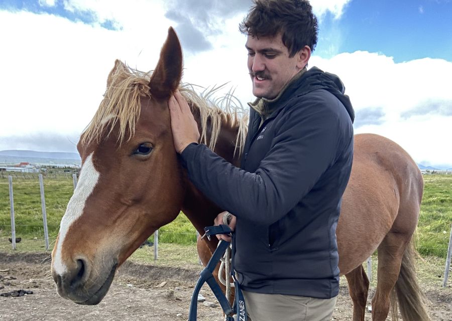 Puerto Natales: Horseback Riding With Horse Connection - Essential Information