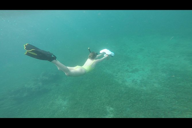 Puerto Rico Jet Snorkel With Turtles and Videos in San Juan - Additional Tour Information