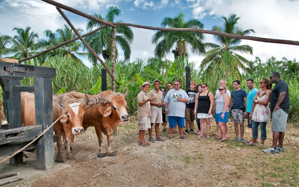 Punta Cana: Bavaro Runners Safari Tour - Important Information