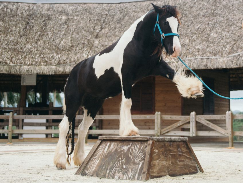 Punta Cana: Eco Park Safari Adventure - Animal Stations