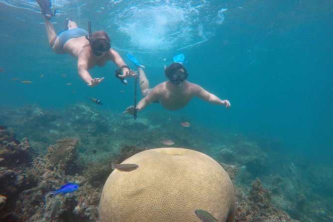 Punta Cana Private Cruise up to 10 Snorkeling & Seafood Lunch - Transportation Options