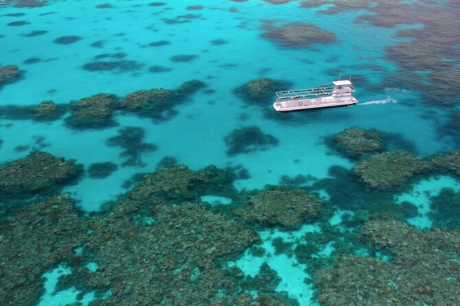 Quicksilver Great Barrier Reef Snorkel Cruise From Port Douglas - Dining Options