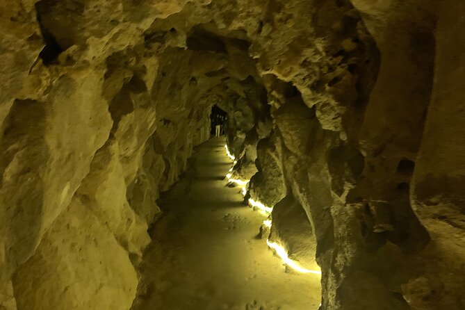 Quinta Da Regaleira and Sintra Visit Half Day Private Tour - Sintra Sightseeing