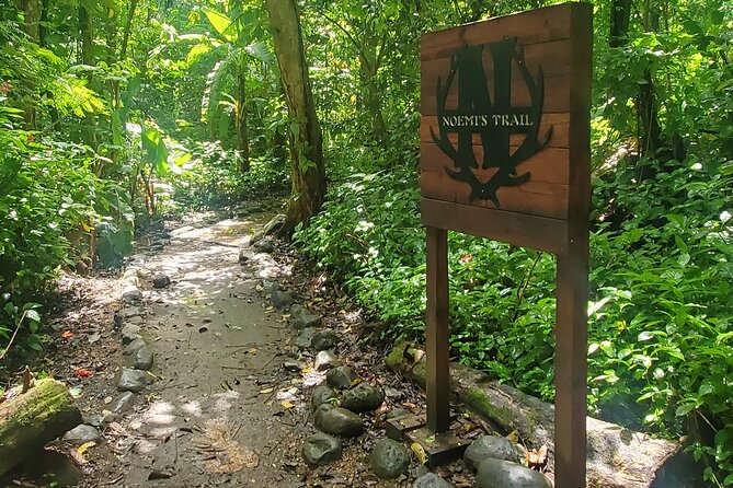 Rainforest and Junglequi Zipline Combo Tour - Safety Measures