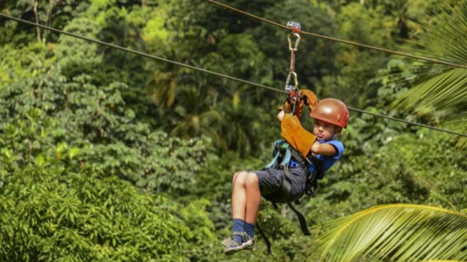 Rainforest Ziplining Adventure - Duration and Inclusions