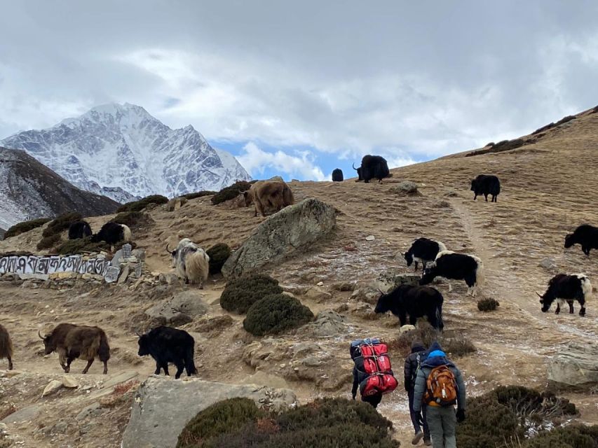 Rapid Everest Base Camp Trek - 9 Days - Essential Packing List