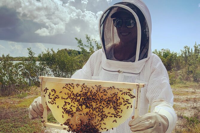 Reagan's Honey Beekeeping Adventure - Reviews and Guest Feedback
