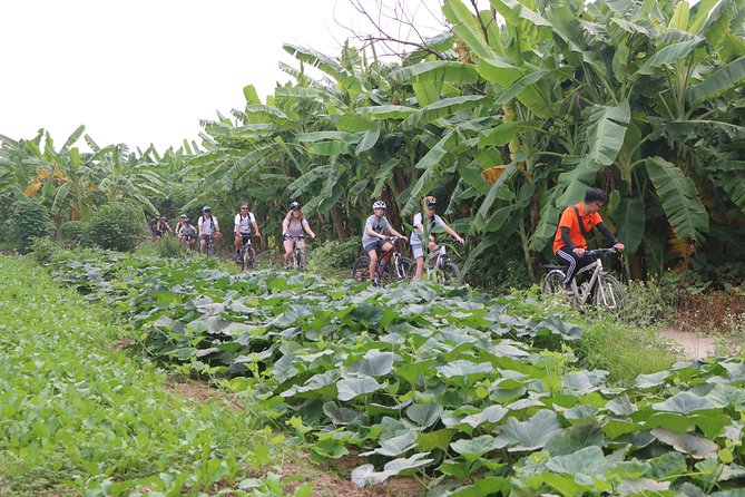 Red River Island Biking Expelore, Backroad, Rural Villages Farm - Booking and Confirmation