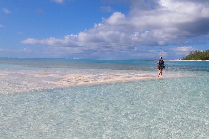 Reef, Beach and Sandbar Tour From Providenciales - Booking Information and Policies