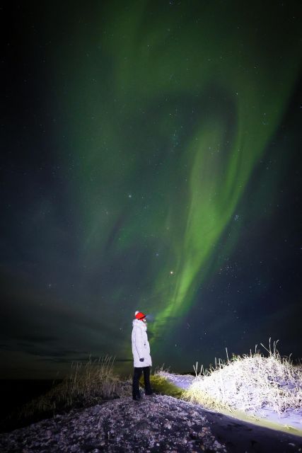 Reykjavik: Northern Lights Hunting and Professional Photos - Why Choose Reykjavik for Northern Lights